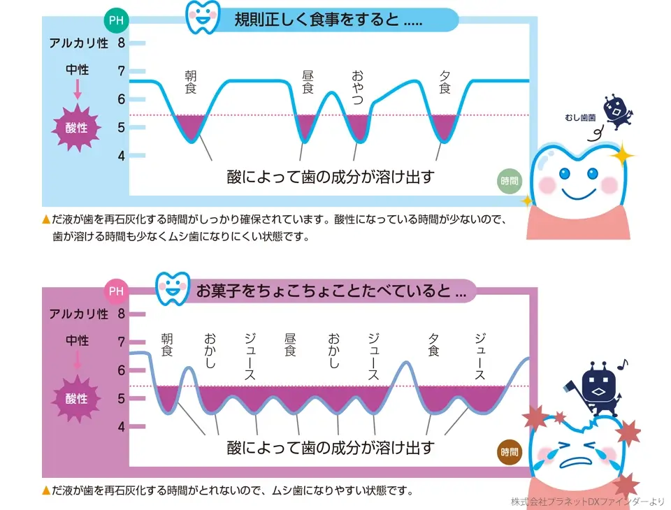 酸によって歯の成分が溶け出す